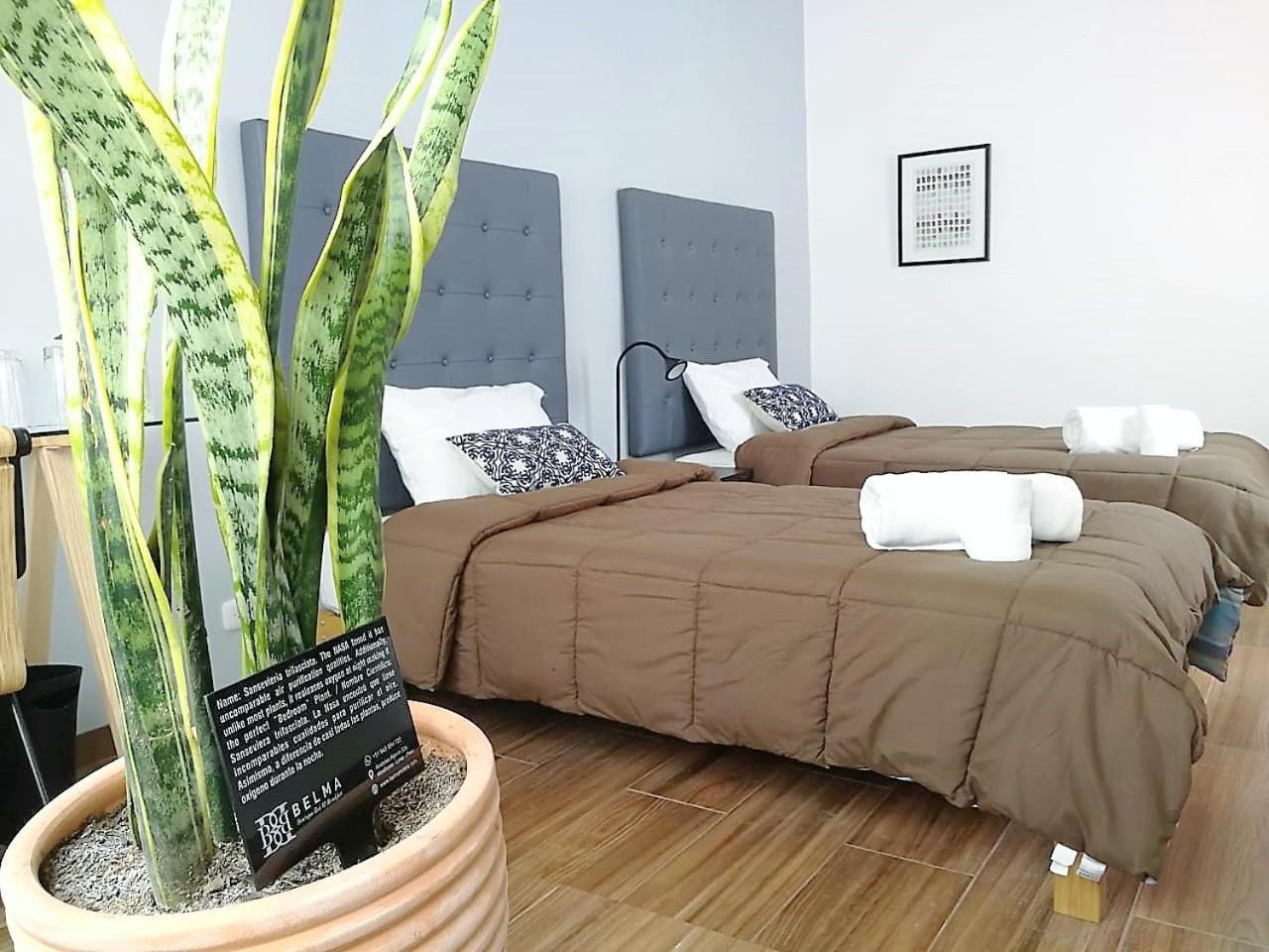 Belma Boutique Bed And Breakfast ليما المظهر الخارجي الصورة